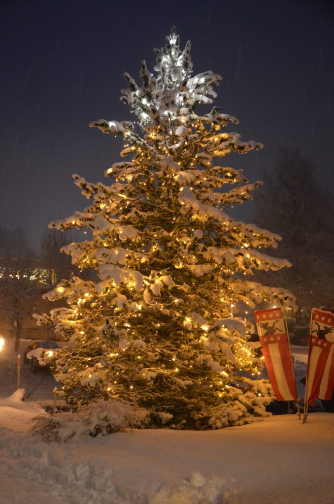 Offnungszeiten Uber Weihnachten Neujahr Einwohnergemeinde Grindelwald